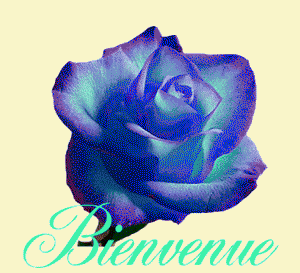 Gif animé bienvenue rose bleu